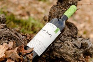 javiersanzslide1-300x200