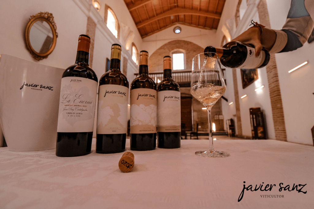 Cómo se hacen los vinos blancos en Bodega Javier Sanz Viticultor, La Seca, D. O. Rueda.