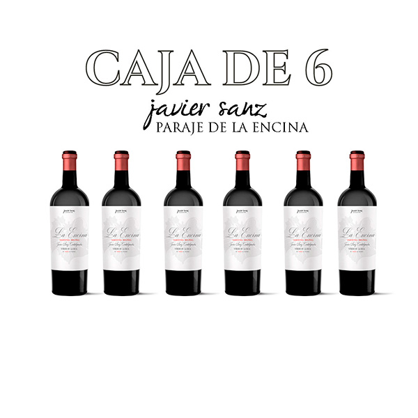 caja-de-6-tinto