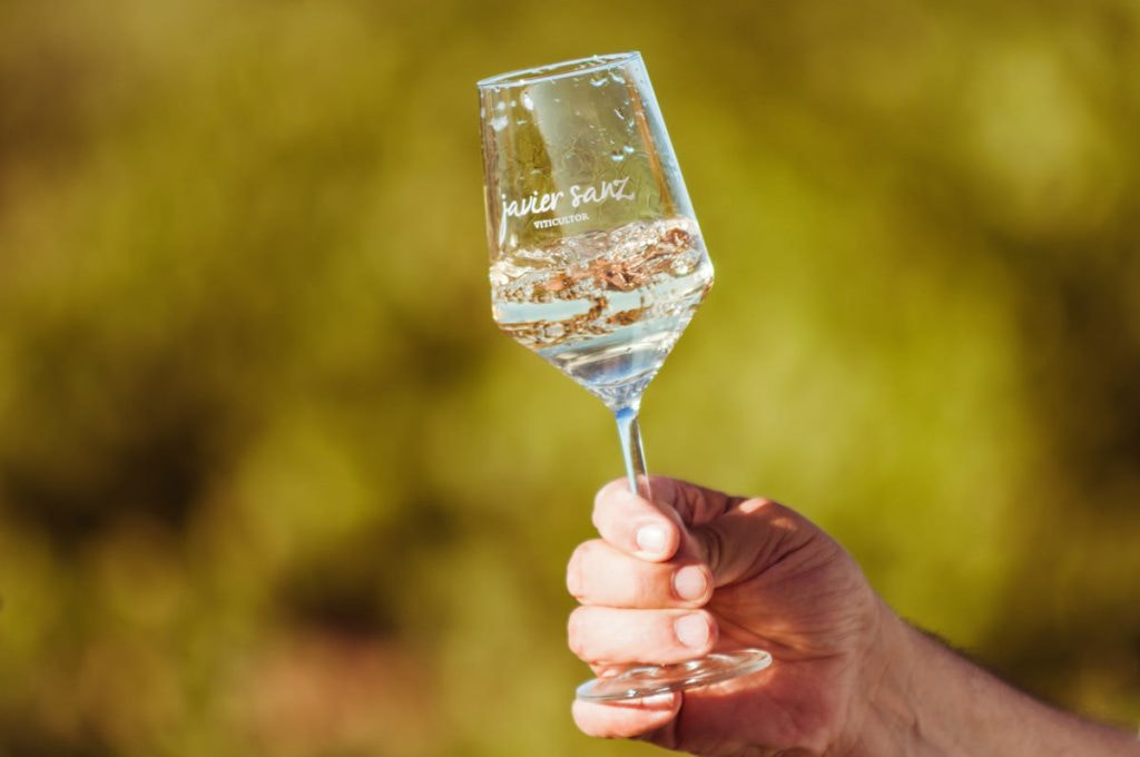 copa de vino blanco javier sanz
